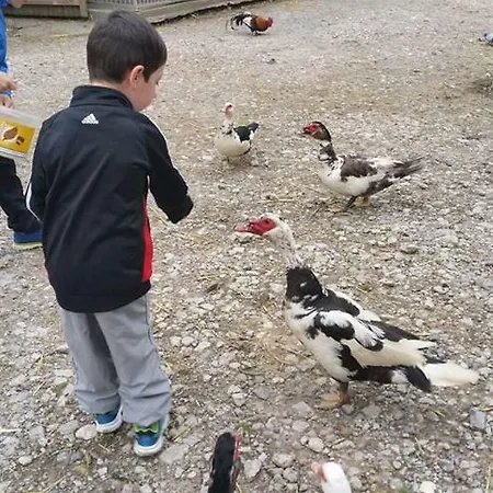 Ferme De Meraville 펜션